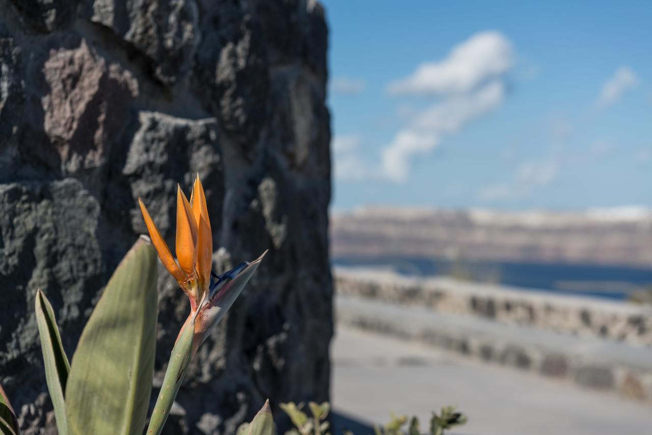 Elements Of Caldera Suites Akrotírion Eksteriør bilde